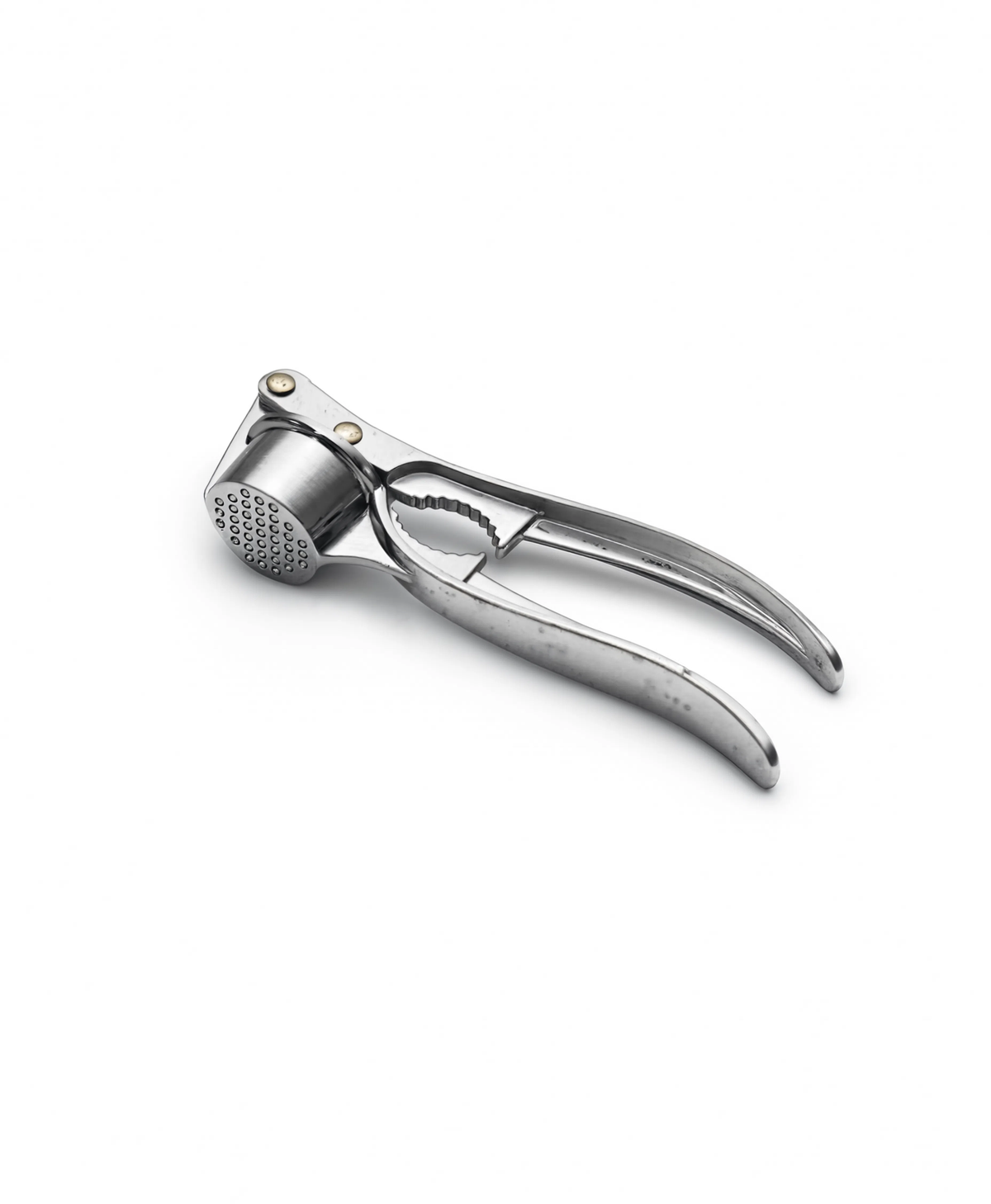 Stainless Steel Garlic Press and Crusher for Kitchen – Malabar Nest