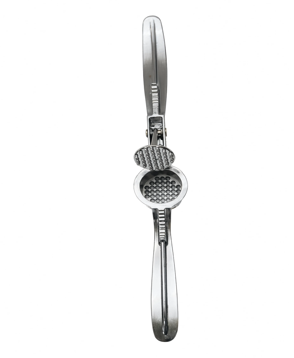Stainless Steel Garlic Press | Manual Garlic Crusher & Mincer for Kitchen MTC30746 | Malabar Nest