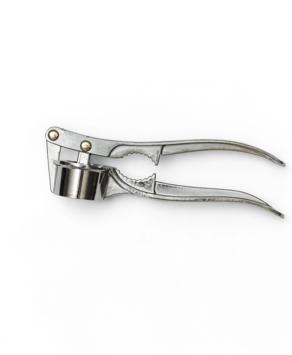 Stainless Steel Garlic Press | Manual Garlic Crusher & Mincer for Kitchen MTC30746 | Malabar Nest
