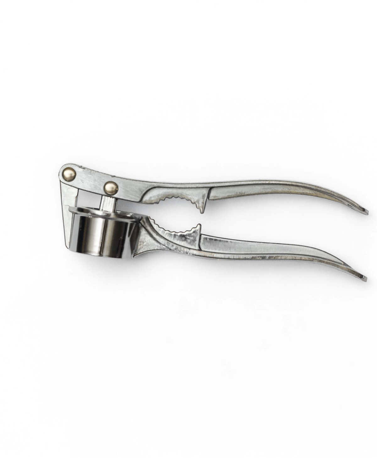 Stainless Steel Garlic Press | Manual Garlic Crusher & Mincer for Kitchen MTC30746 | Malabar Nest